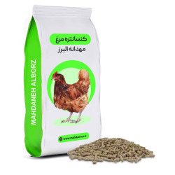 🐔 دان مرغ بومی